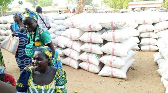 KALFOU : C’EST MOMENT DE LA RÉCOLTE DU HARICOT